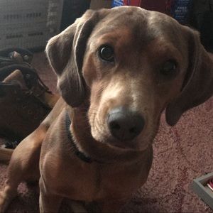 Meet your Posher, Alanis